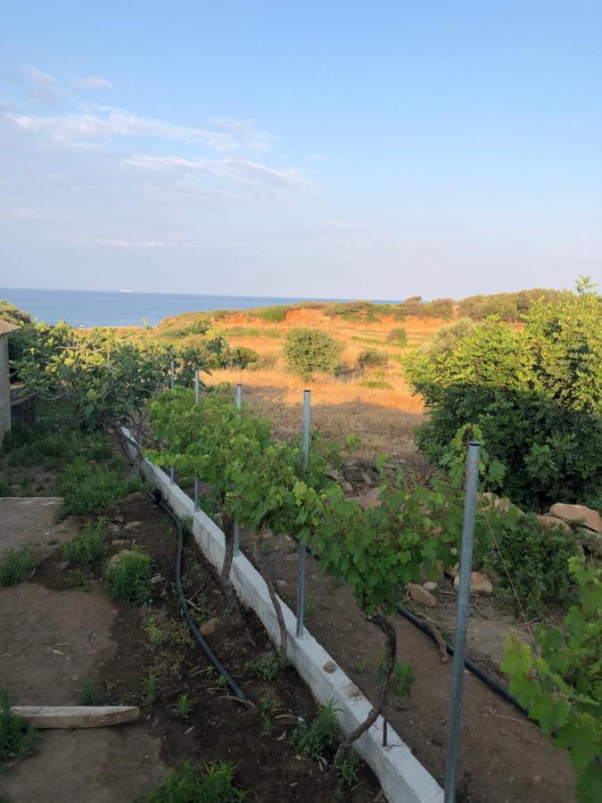 Ambelakia Bungalow 모넴바시아 외부 사진